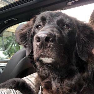 Meet your Posher, Kate